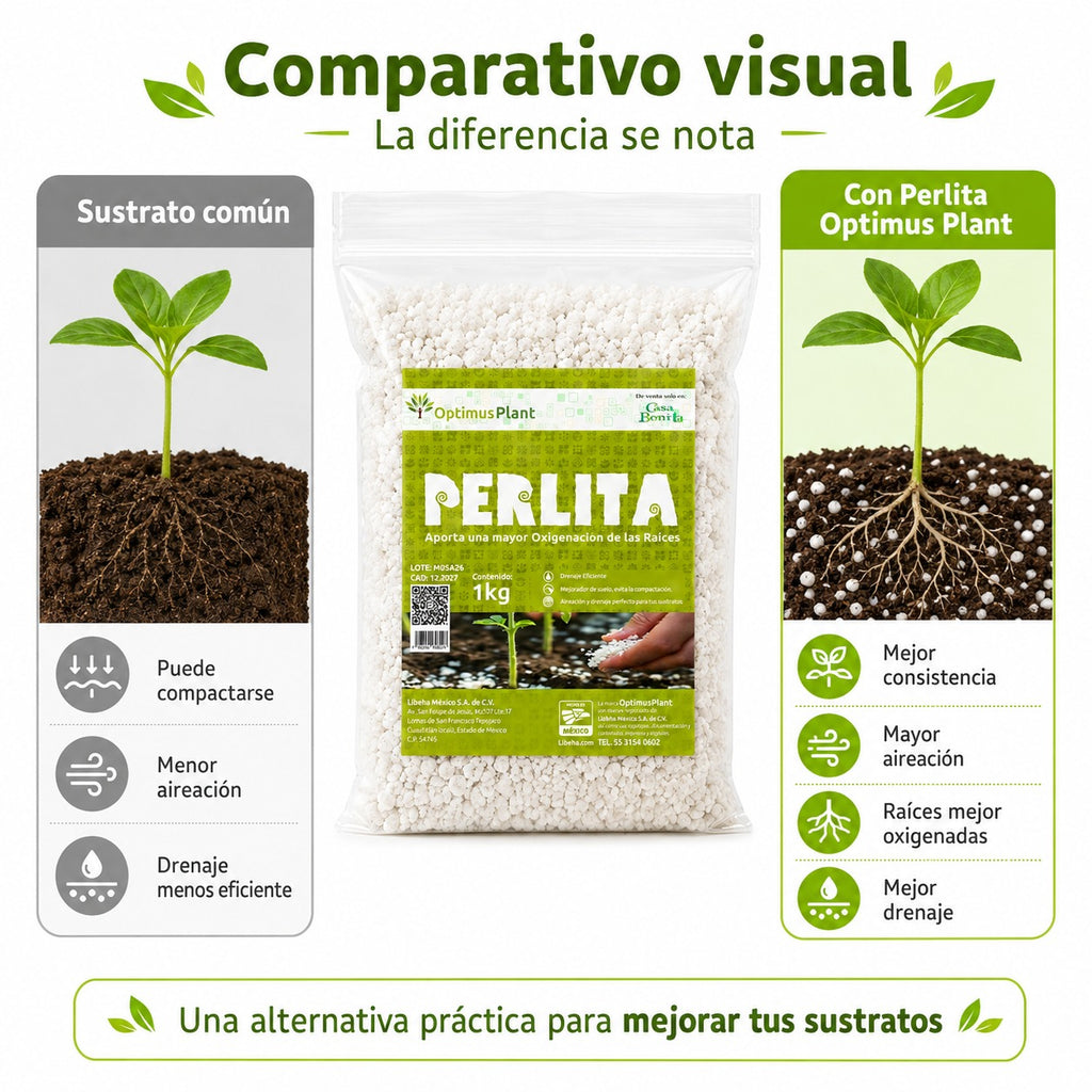 PERLITA 1 KG