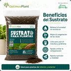 SUSTRATO PARA PLANTAS 2.2 KG