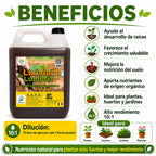 Fertilizante Lixiviado Lombriz 4L
