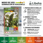 Semillas De Huauzontle 2.4 G Rinde Para 1,000 Plantas