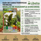 Semillas De Huauzontle 2.4 G Rinde Para 1,000 Plantas