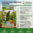 Semillas De Huauzontle 2.4 G Rinde Para 1,000 Plantas
