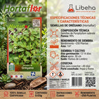 Semillas De Oregano Hortaflor 3gr Rinde Para 250 Plantas